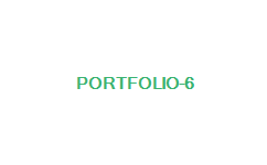 portfolio-6